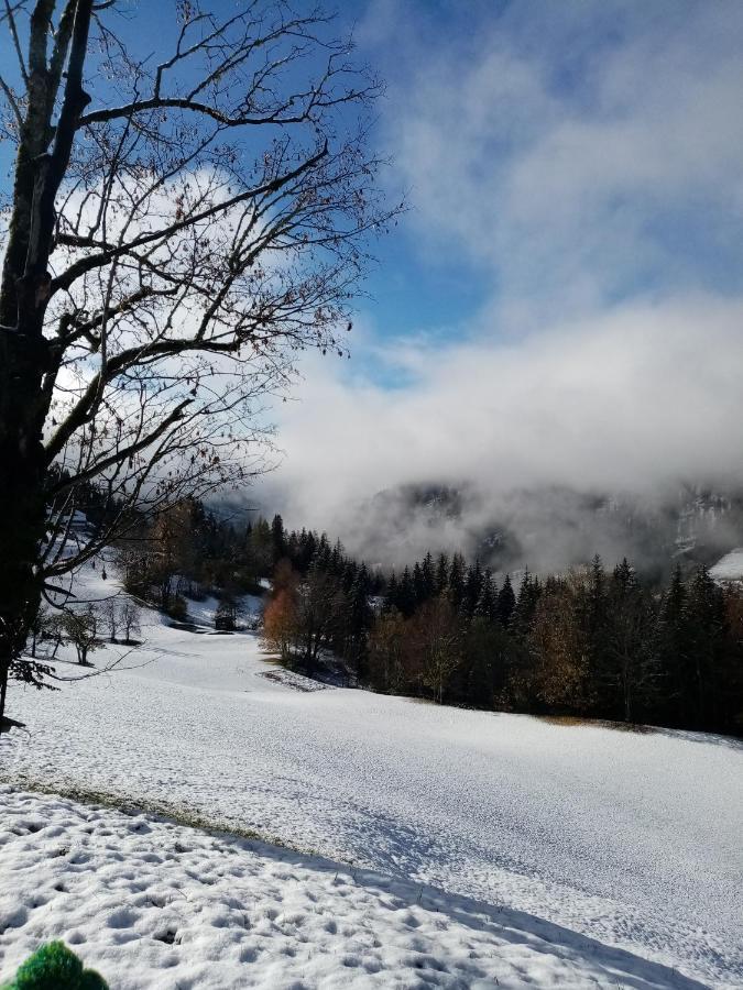 Apartment Lehengut Eben Im Pongau Buitenkant foto