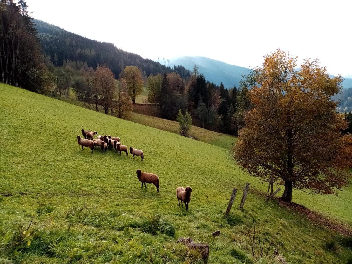 Apartment Lehengut Eben Im Pongau Buitenkant foto