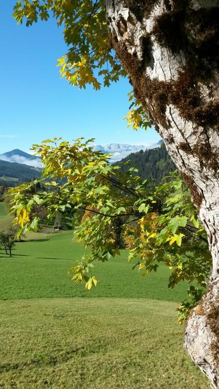 Apartment Lehengut Eben Im Pongau Buitenkant foto