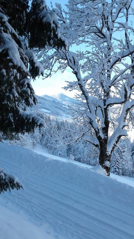 Apartment Lehengut Eben Im Pongau Buitenkant foto